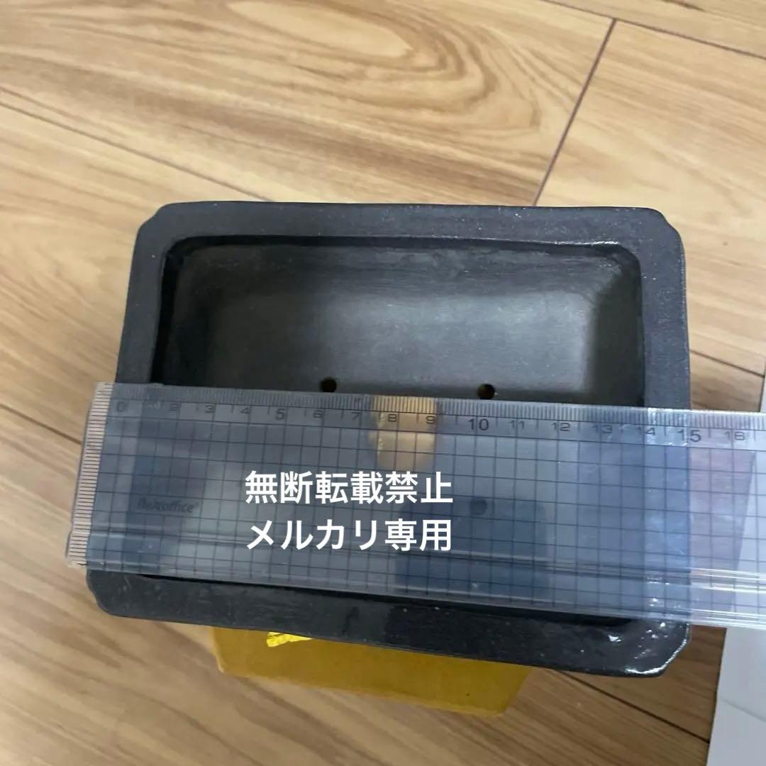 盆栽鉢　桑津香石　絵鉢　山野草　桜　松　鳥　小品盆栽