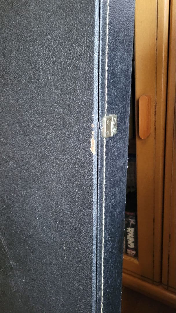 エピオンEpiphoneダブルネックギター