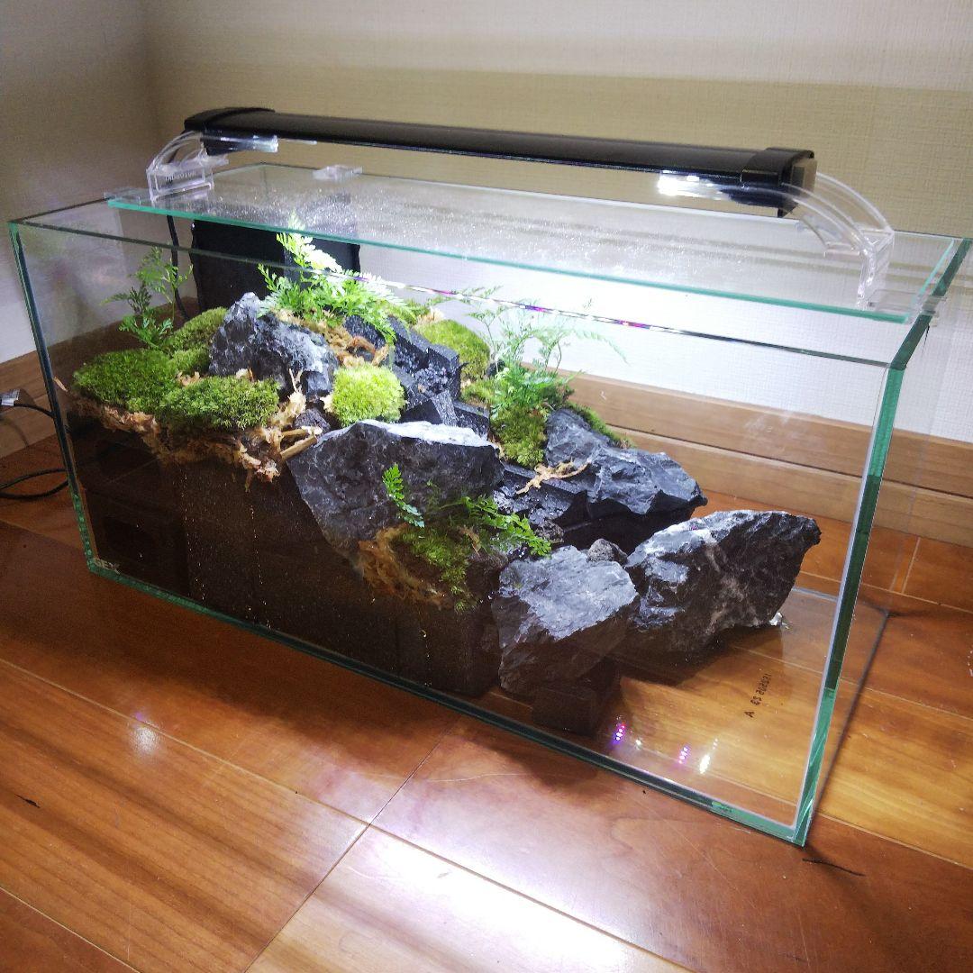 【受注生産】滝の流れるアクアテラリウム　イモリウム　苔テラリウム　テラリウム