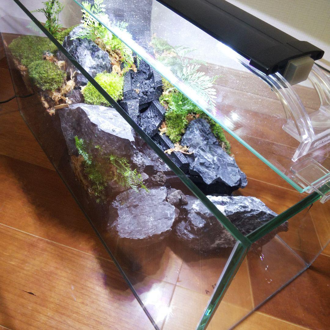 【受注生産】滝の流れるアクアテラリウム　イモリウム　苔テラリウム　テラリウム