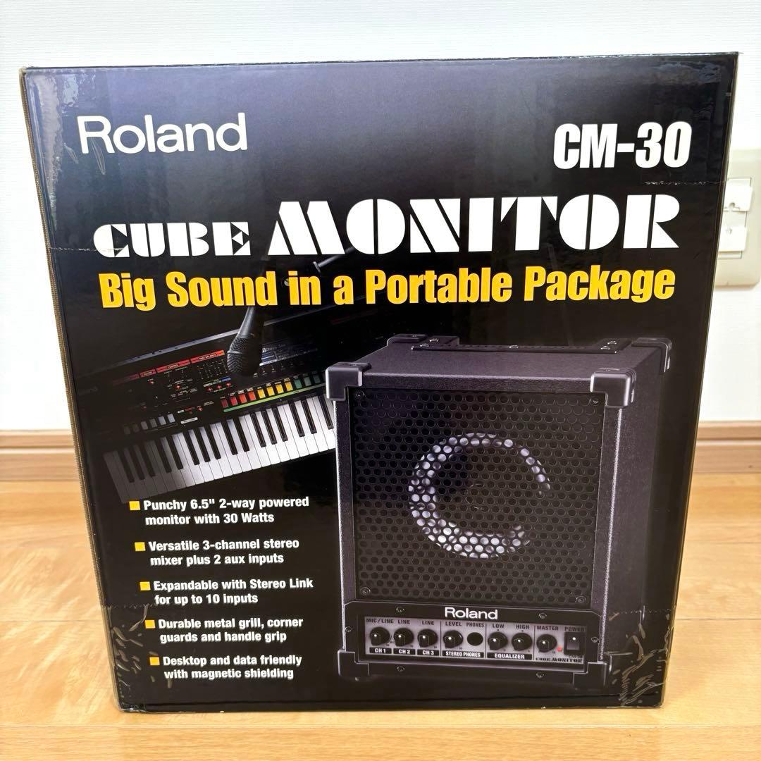 Roland ローランド CUBE CM-30 モニタースピーカー