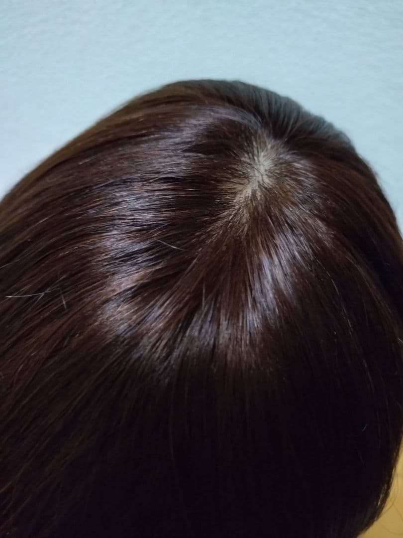 人毛100%　Sサイズ　ブラウン　フルウィッグ