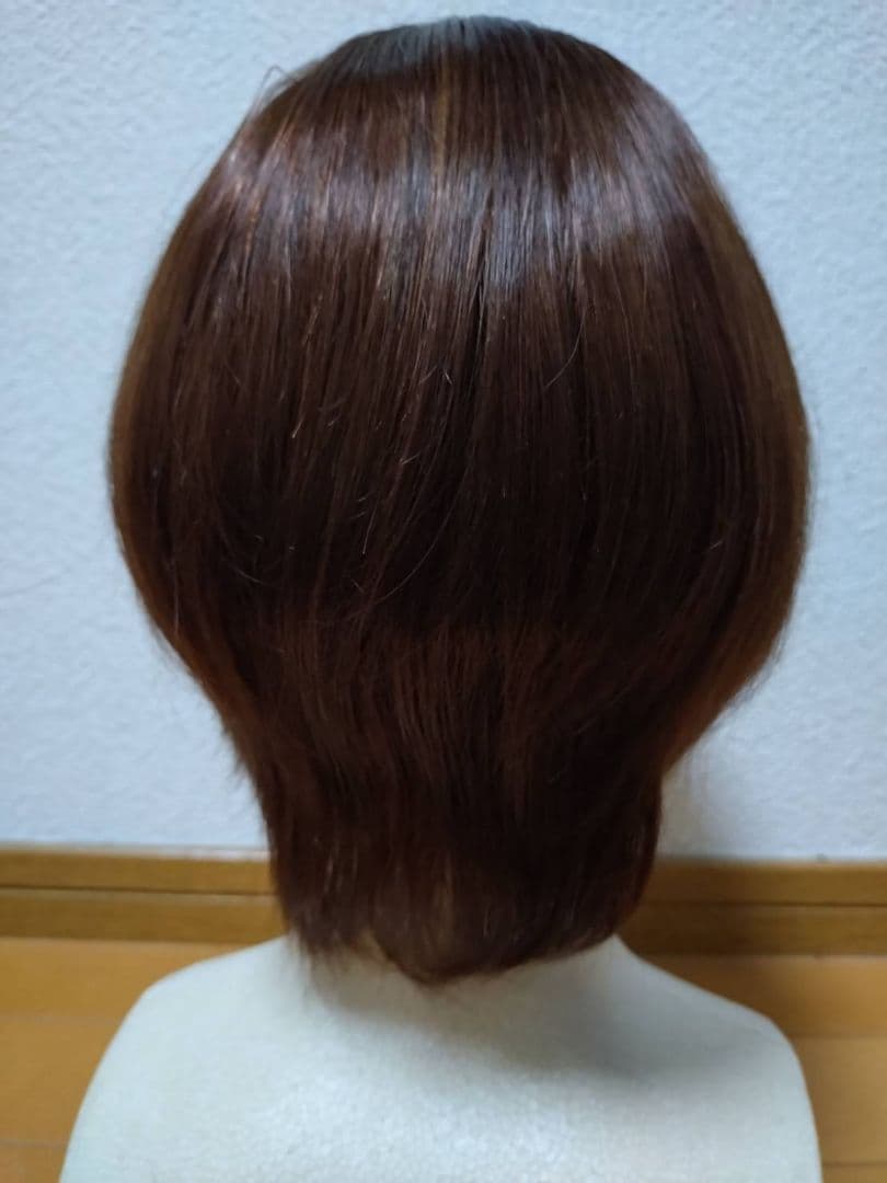 人毛100%　Sサイズ　ブラウン　フルウィッグ