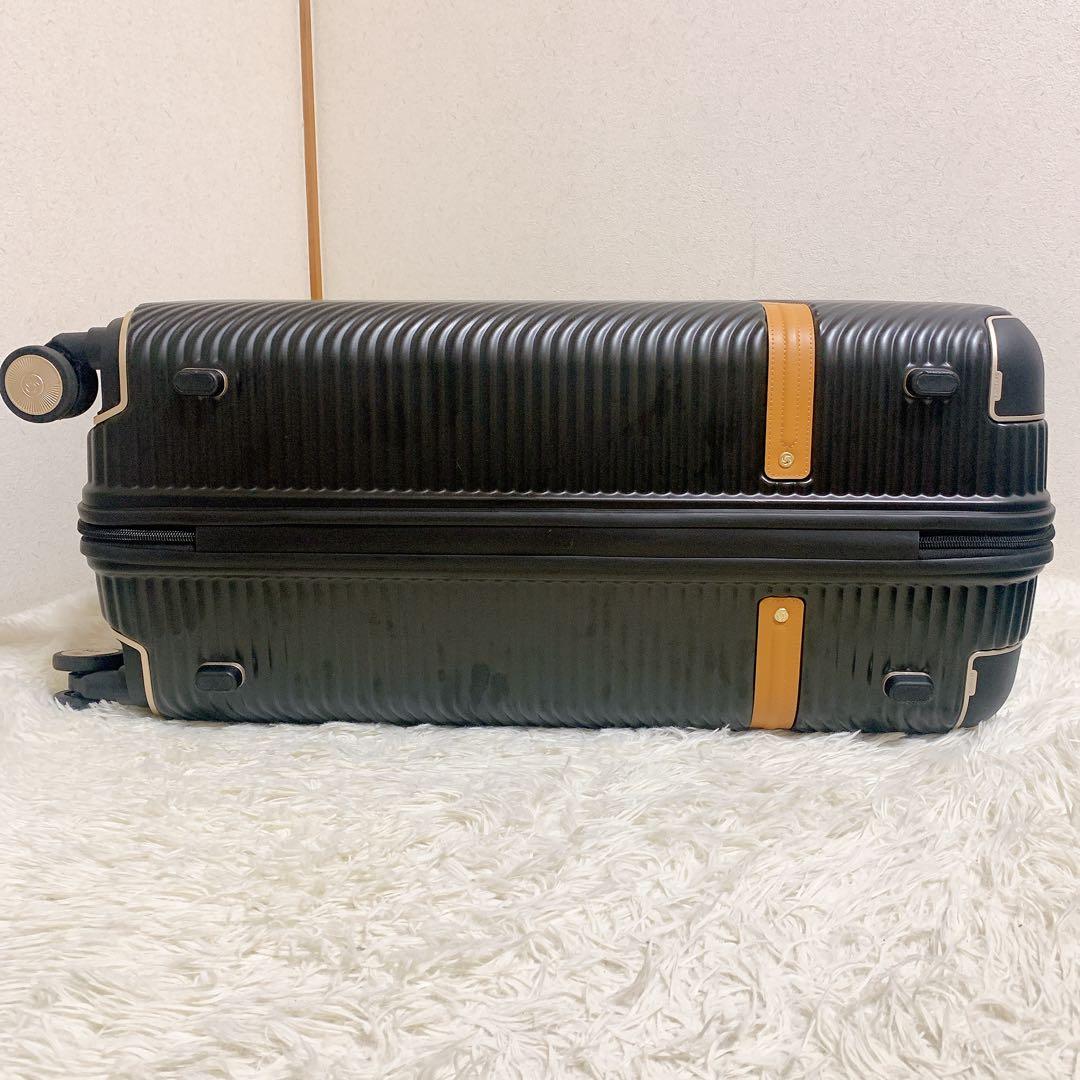 Samsonite ブラックレーベル リッチモンド 2 スピナー 75 キャリー