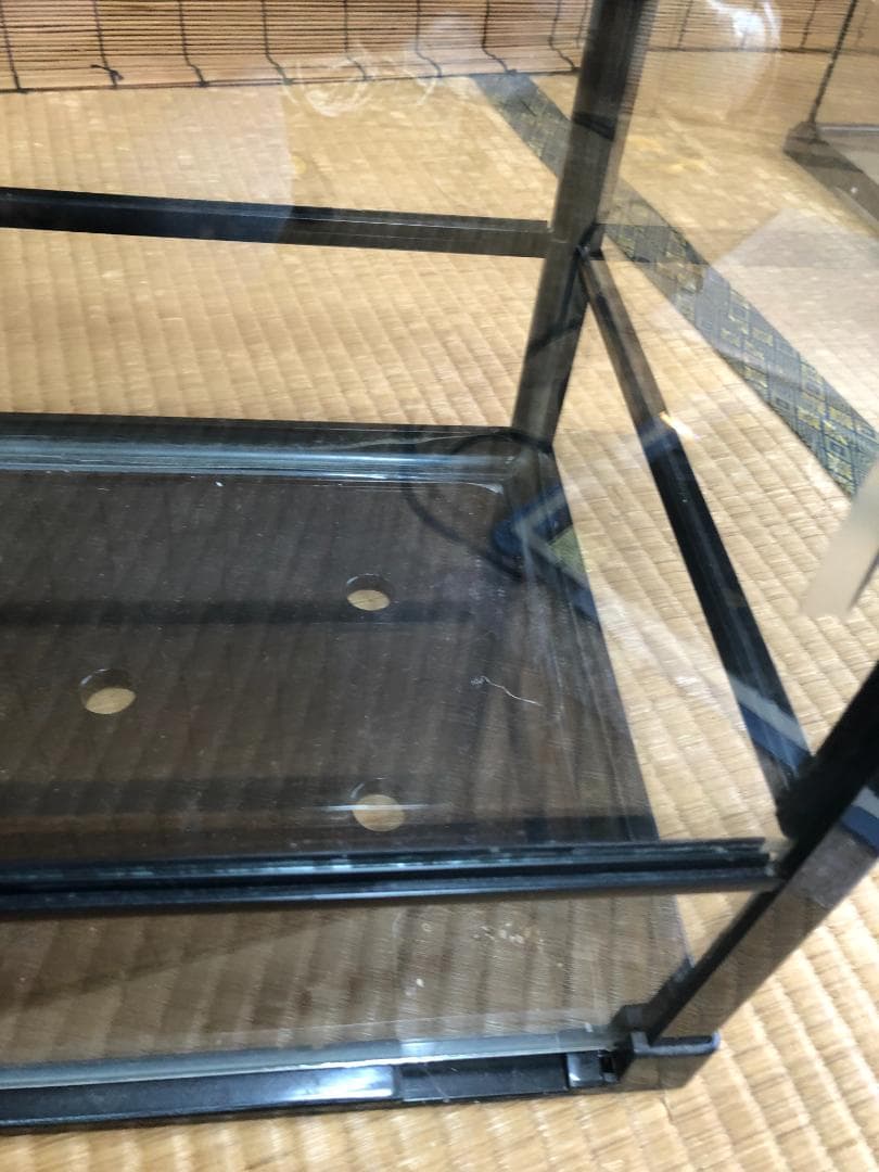 ガラスケージ ケースバイケース 60Mサイズ みどり商会