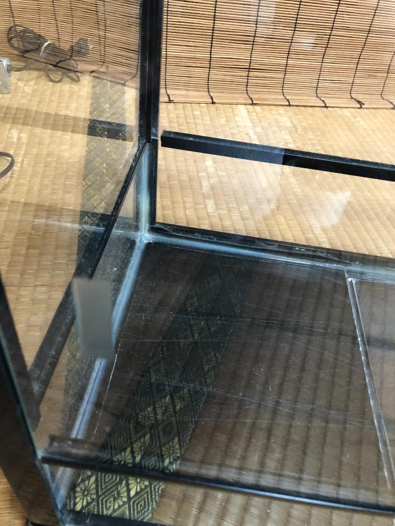 ガラスケージ ケースバイケース 60Mサイズ みどり商会