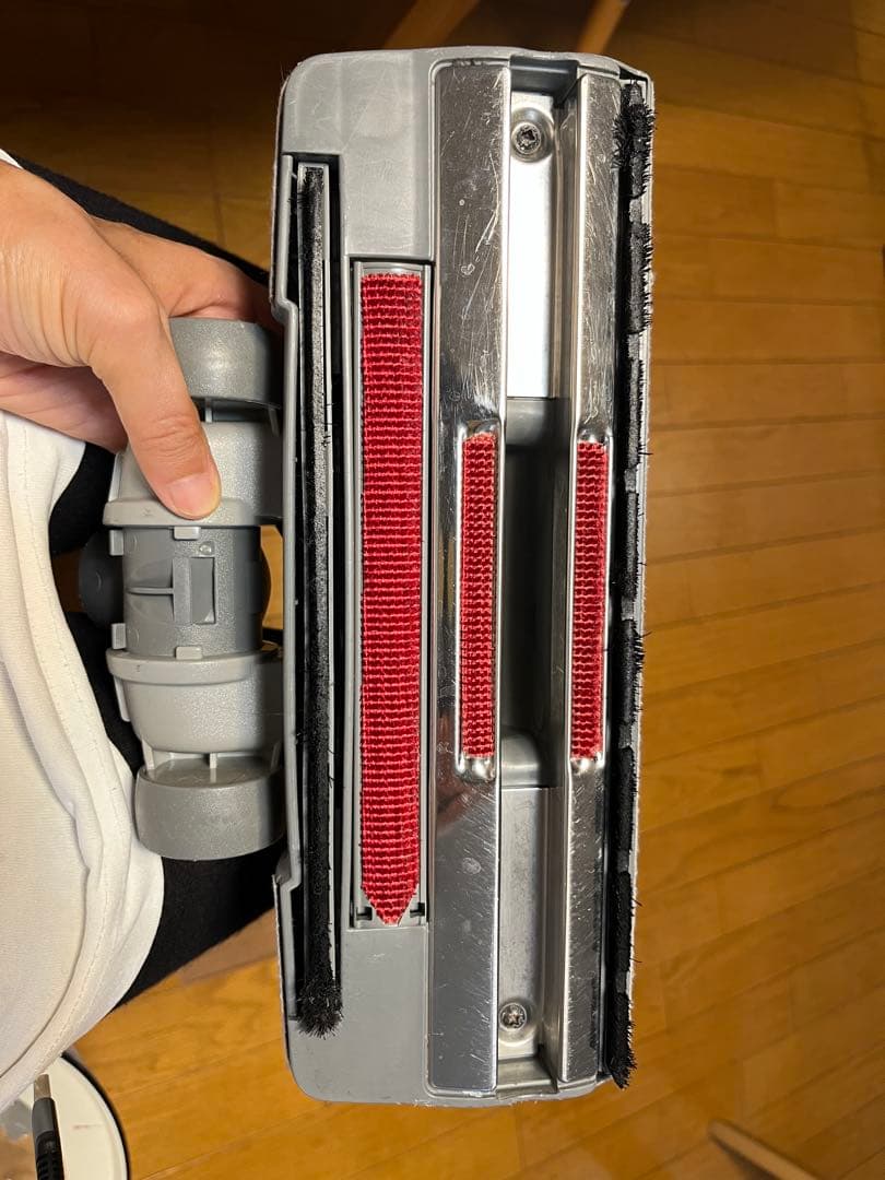 Electrolux オキシジェンZ5954【8月20日までお値引き中】