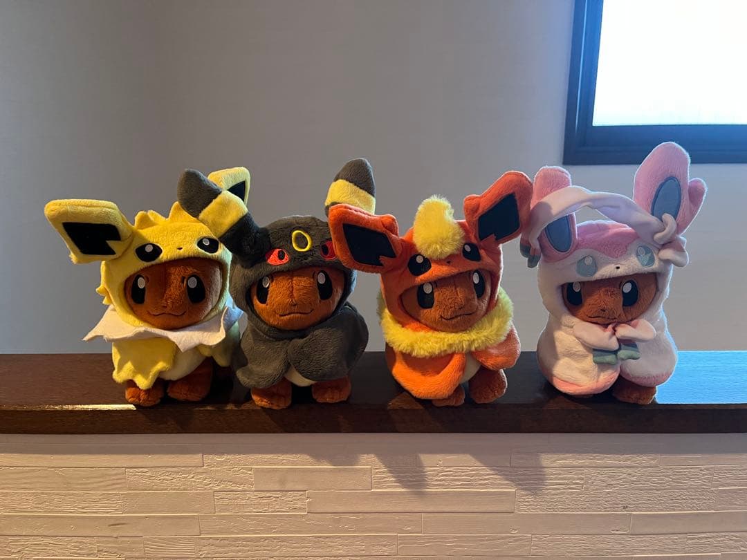 ポンチョを着たイーブイセット