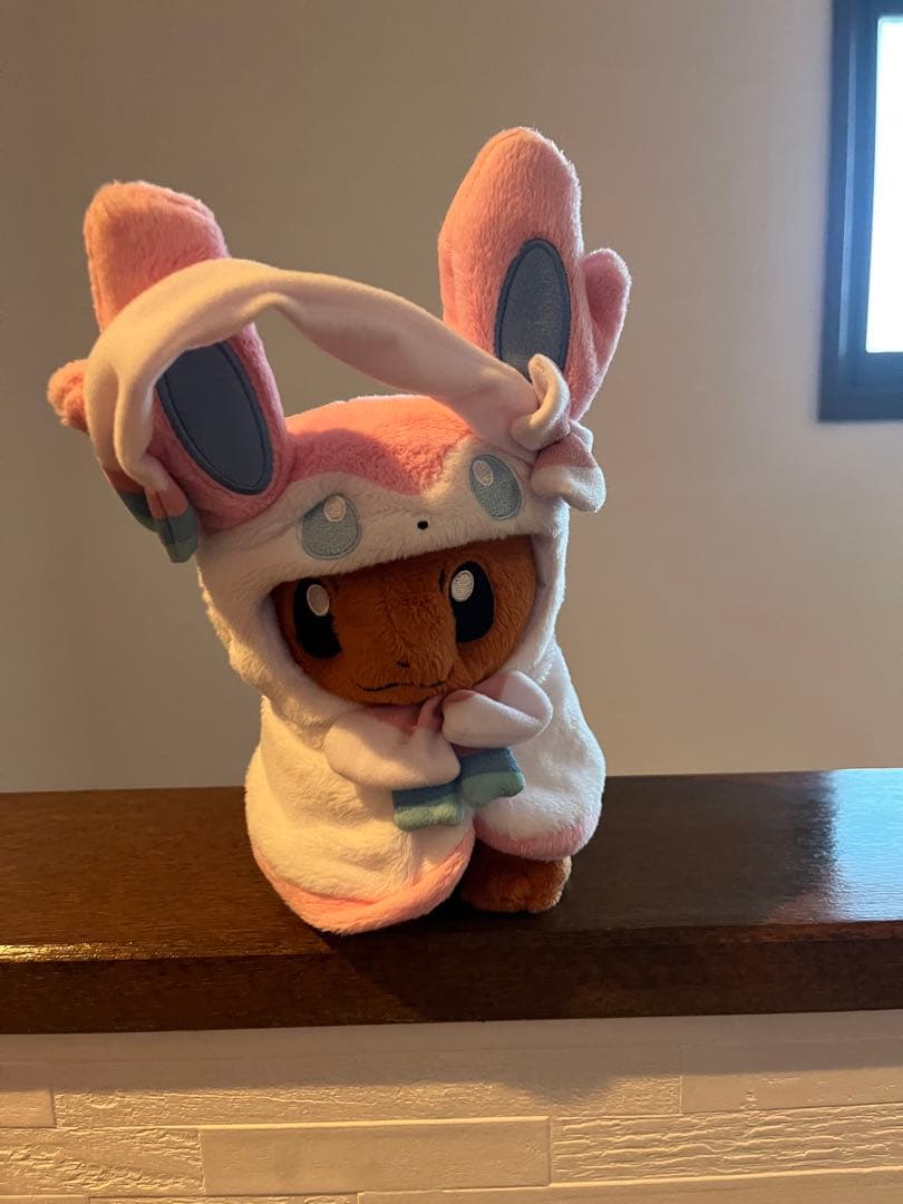 ポンチョを着たイーブイセット