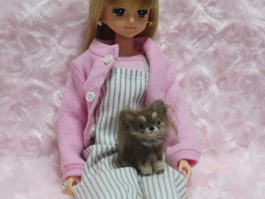 羊毛フェルト 犬 チワワ チョコタン パーティーカラー ミニチュアドールハウス