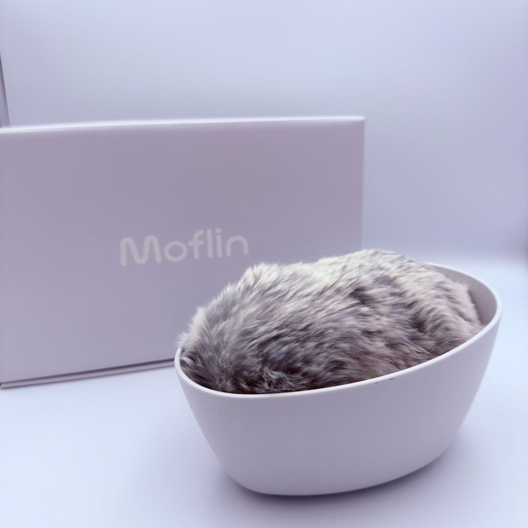 ⭐️未使用級⭐️カシオ モフリン シルバー AIペット コミュニケーション