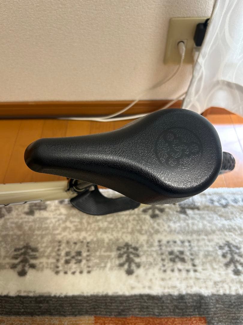 【美品】STRIDER ストライダー スポーツモデル 限定色　サファリ