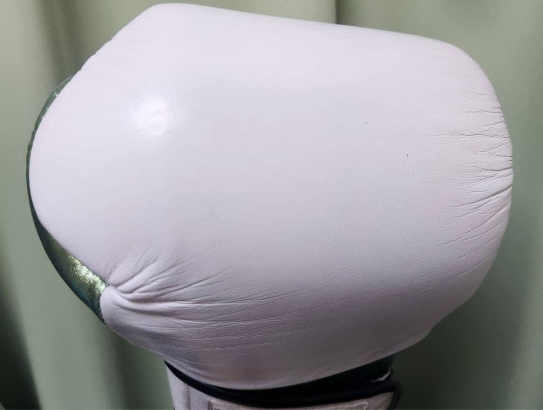 Casanova ボクシンググローブ 10oz