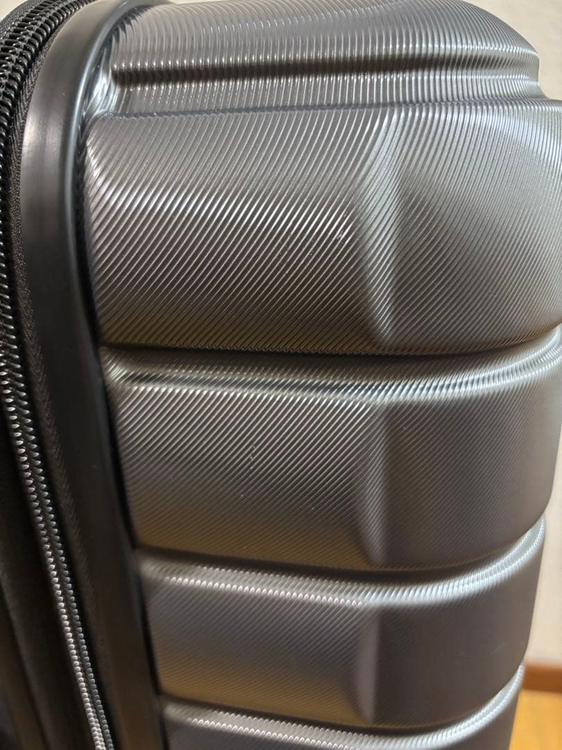 コストコDELSEY PARIS スーツケース30 inch グラファイト