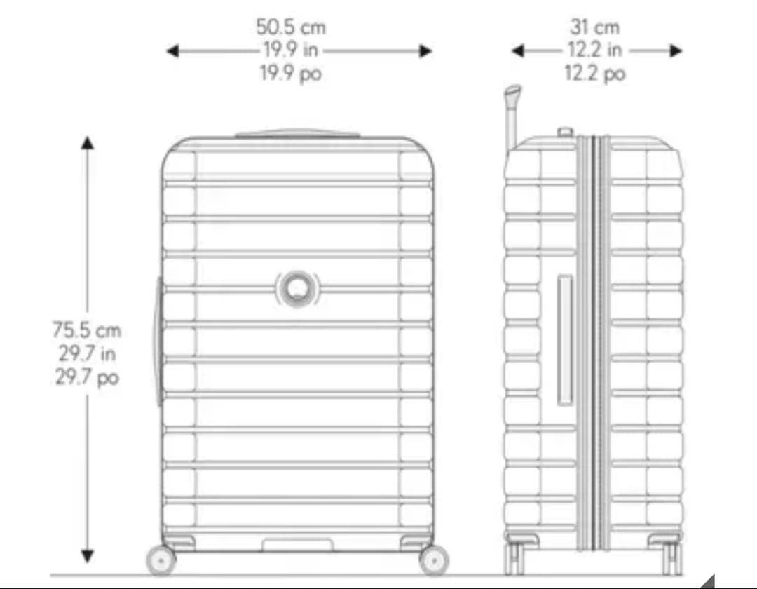 コストコDELSEY PARIS スーツケース30 inch グラファイト