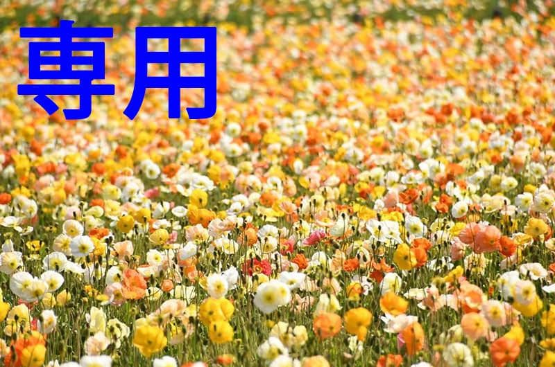 ライズさん専用