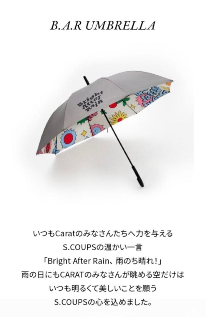 SEVENTEEN エスクプス　スンチョル　アーティストメイド　傘