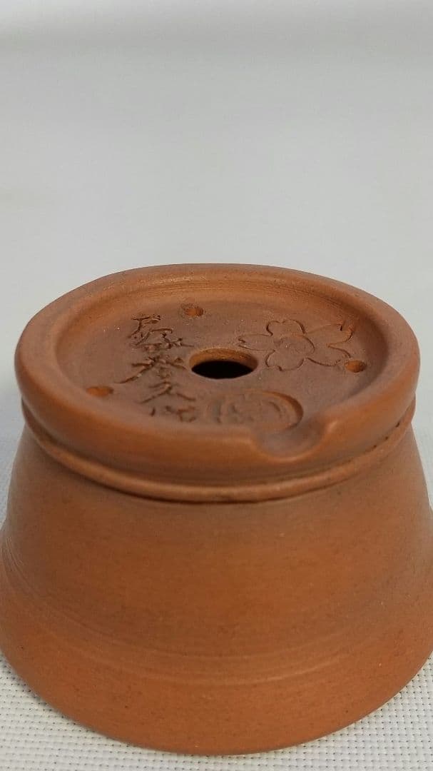 盆栽鉢 春陽 駿河春陽 戸塚春久