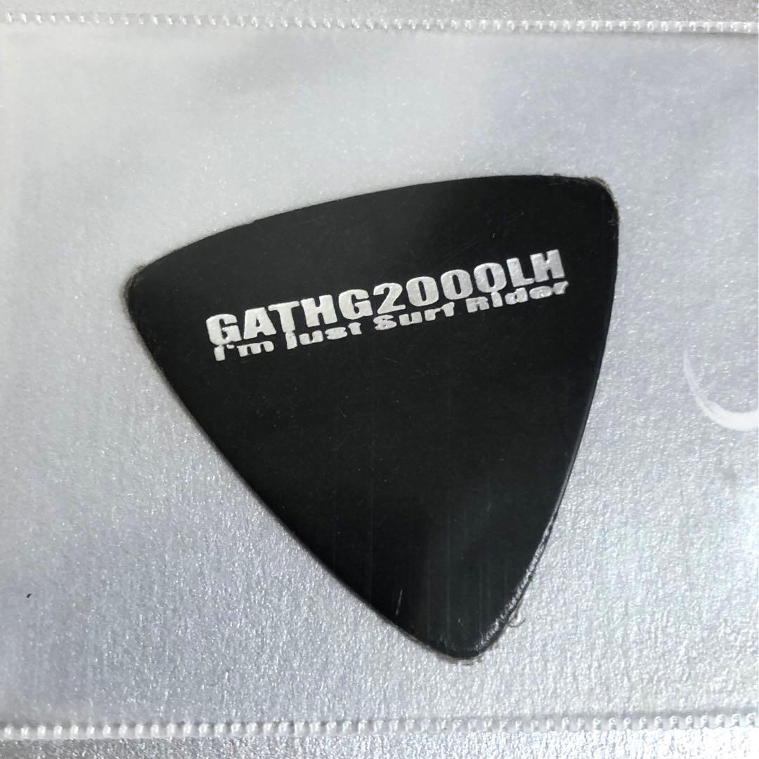 HISASHI 本人使用 ピック