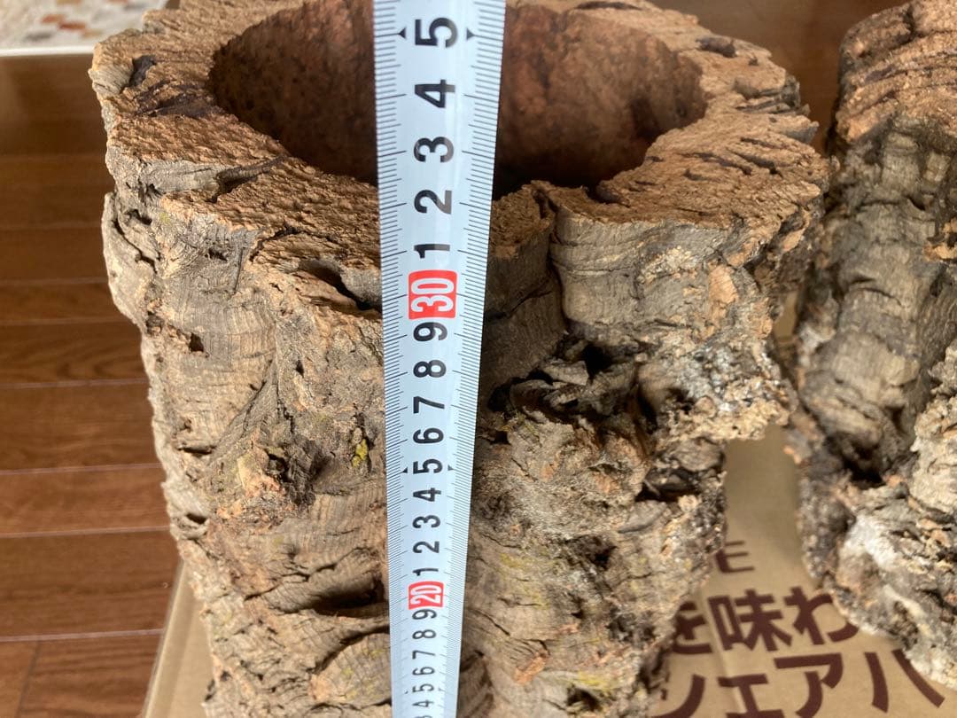 天然コルク樹皮2個とコナラ樹皮1個