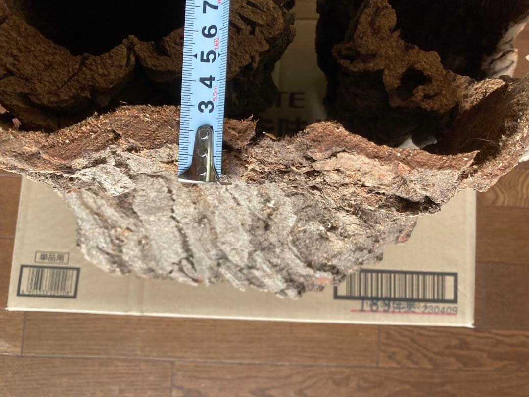 天然コルク樹皮2個とコナラ樹皮1個