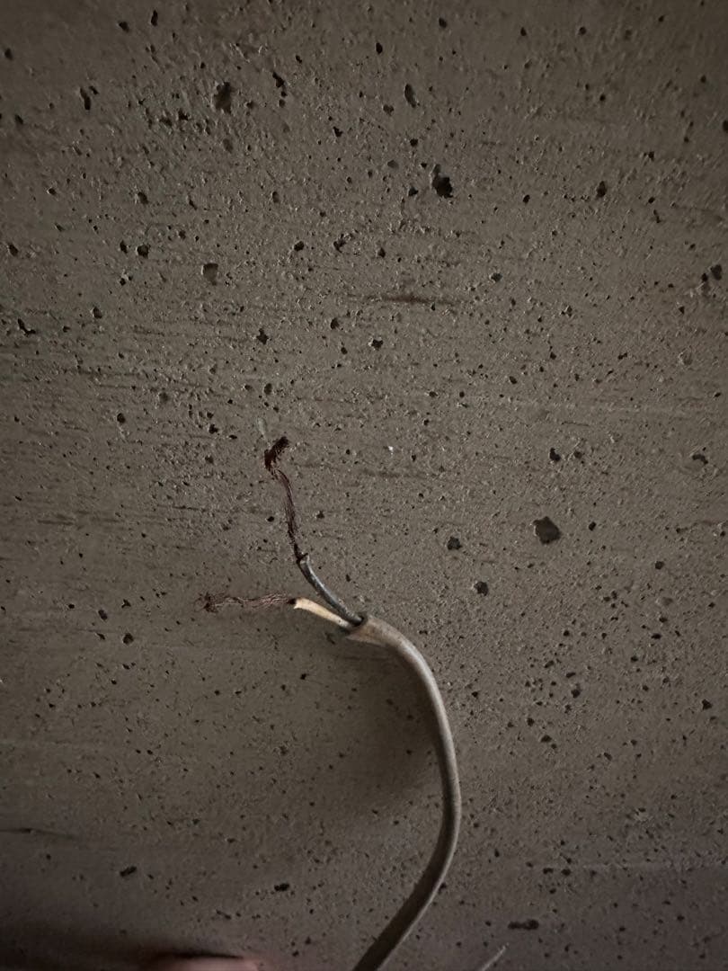 アルインコ　玄米　冷蔵庫　ジャンク　業務用　貯蔵庫　低温