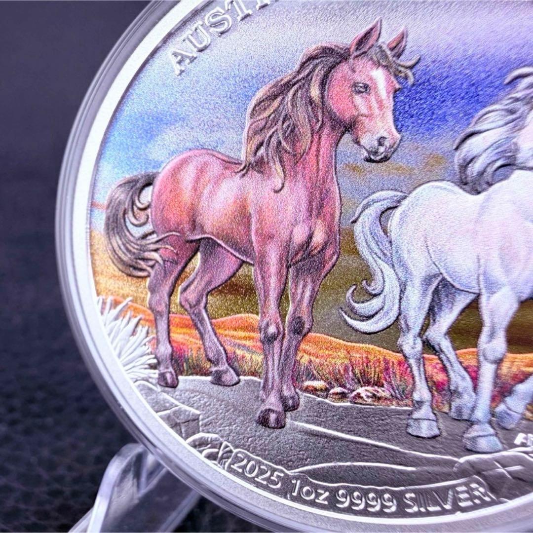 銀貨 ブランビー 野生馬 カラー プルーフ 純銀 保証書 1500枚限定