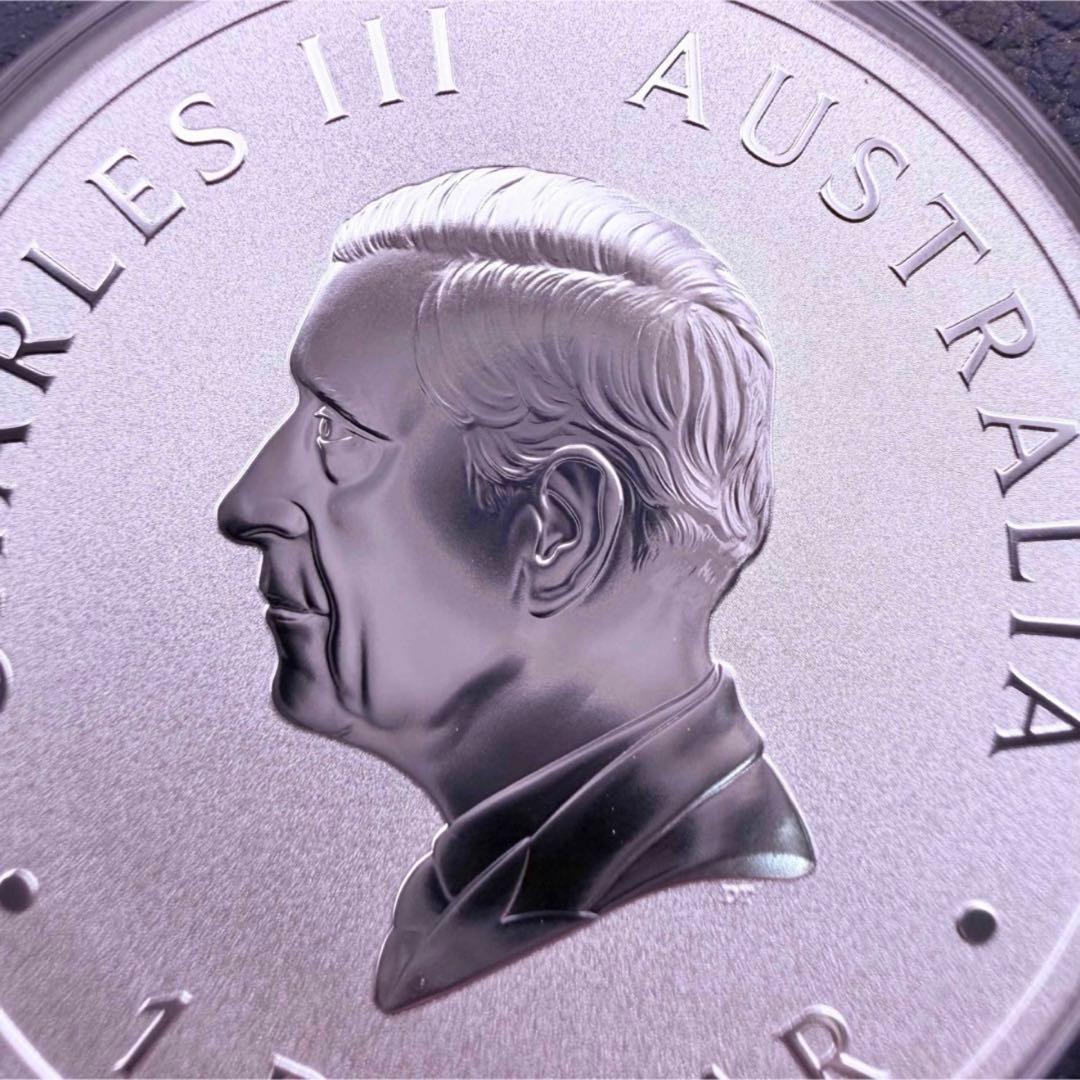 銀貨 ブランビー 野生馬 カラー プルーフ 純銀 保証書 1500枚限定