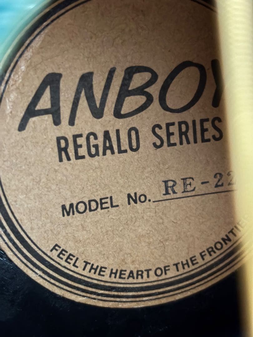 程度上々！ANBOY REGALO SERIES RE-22 フジゲン　調整済❗️