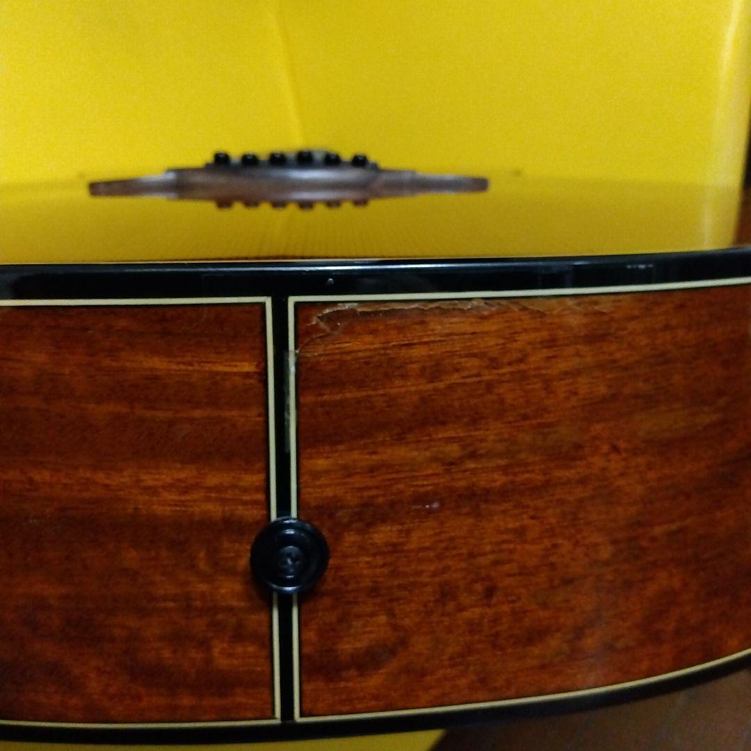 MERIDA　diana dc15 FISHMAN搭載エレアコ　ハードケース付