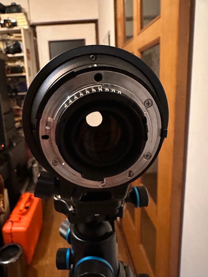 Nikon AF VR Nikkor 80-400mm F4.5-5.6D動作◎