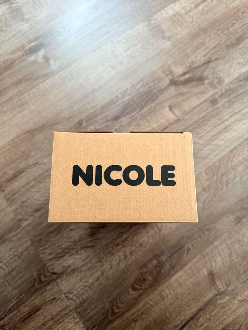 BUMP OF CHICKEN ニコル フィギュア