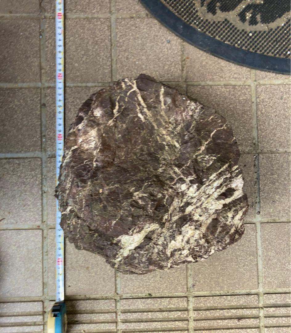 万天石　アクアリウム　ADA 石組レイアウト　親石　特大