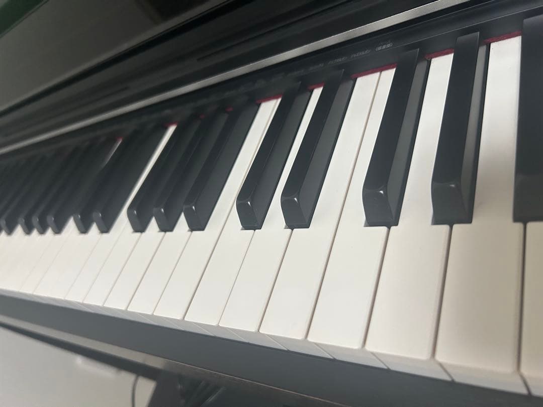 CASIO ヤマハ 電子ピアノ AP-S5000GP