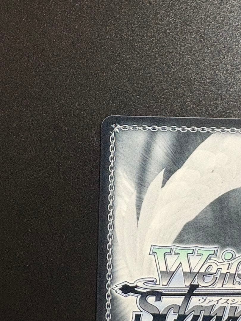 ヴァイス SP サイン 恥ずかしい姿 愛音