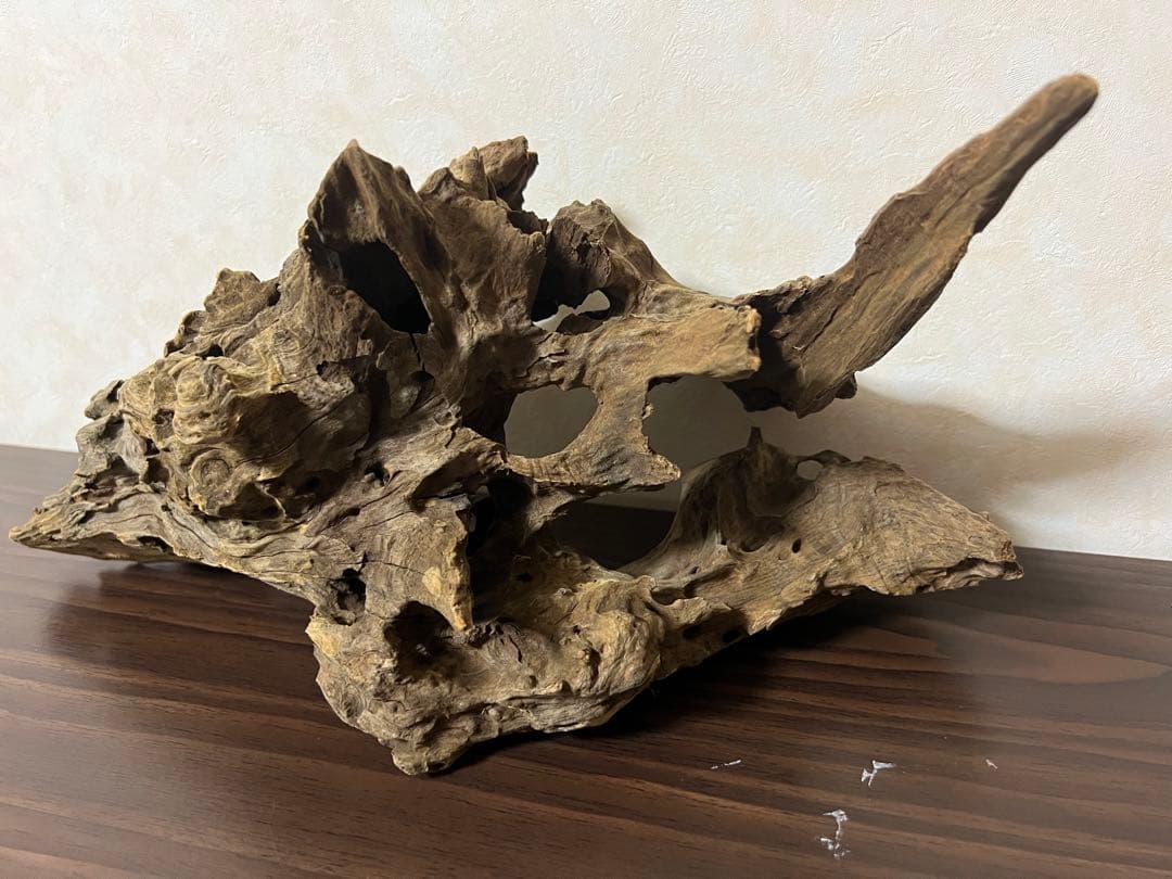 (XM-202) 流木　マシンガンウッド　アクアリウム沈水確認済　ブランチウッド