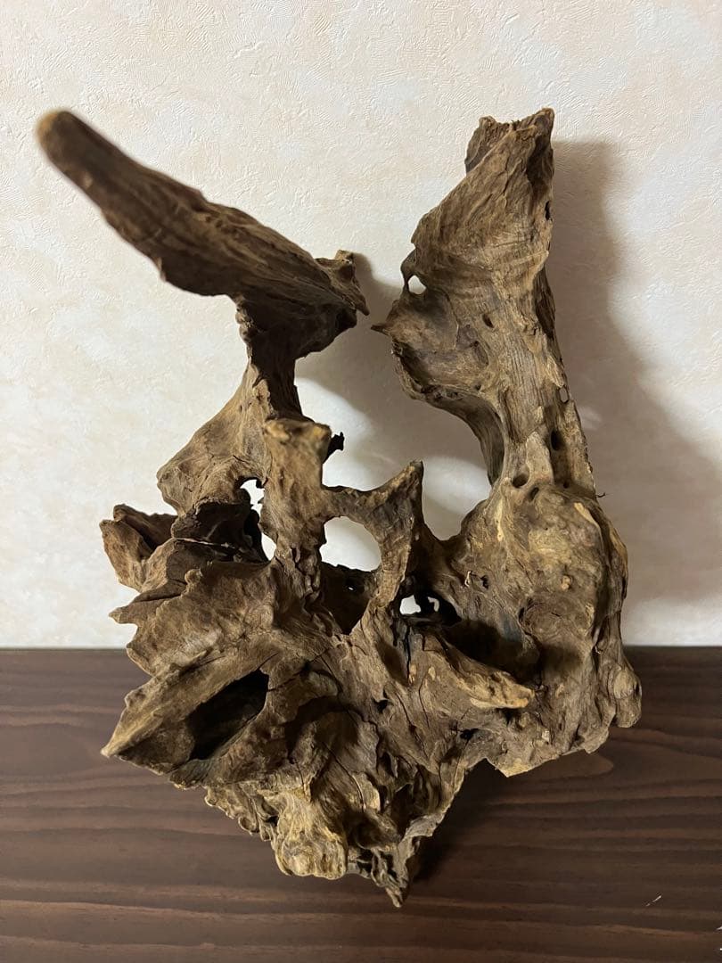 (XM-202) 流木　マシンガンウッド　アクアリウム沈水確認済　ブランチウッド