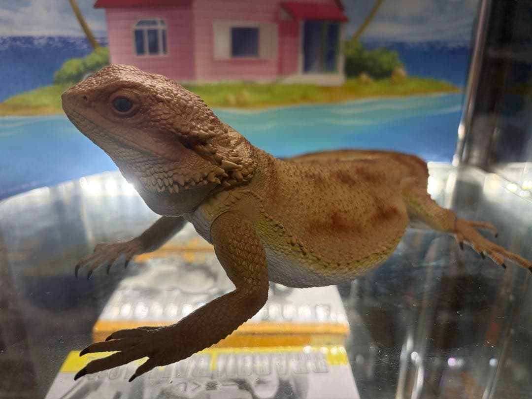 一番くじ 爬虫類＆両生類～Tiny Friends～vol.1.2 コンプリート