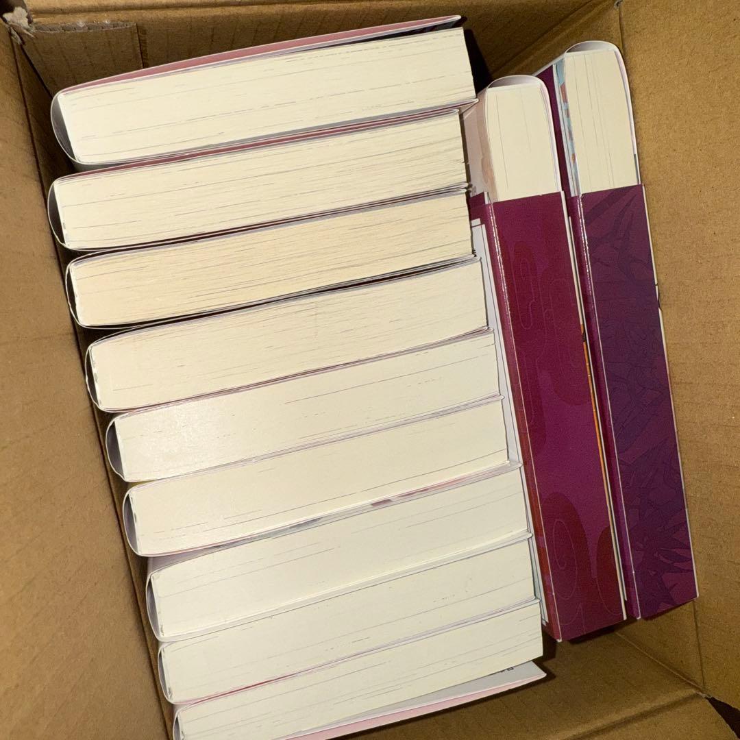 薬屋のひとりごと　小説 1-11巻