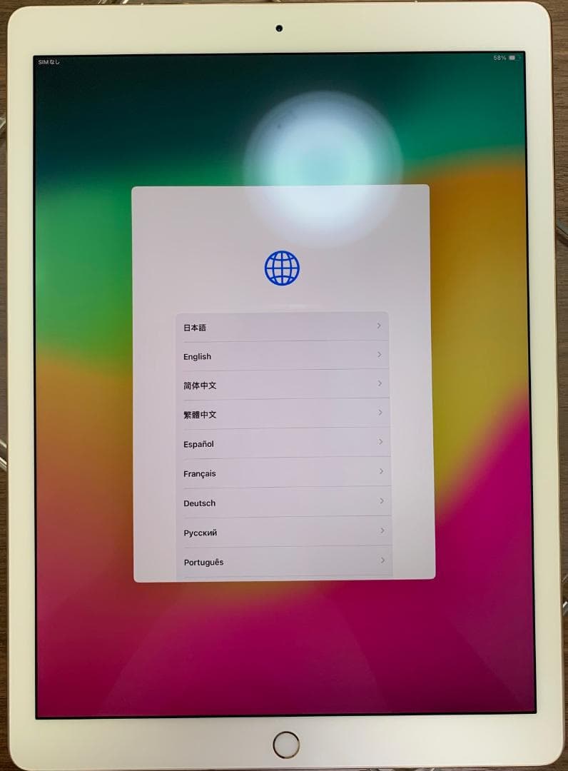 IPad pro 第二世代12.9インチ　64GB