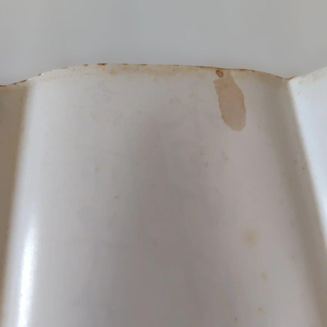 高市早苗のぶっとび永田町日記