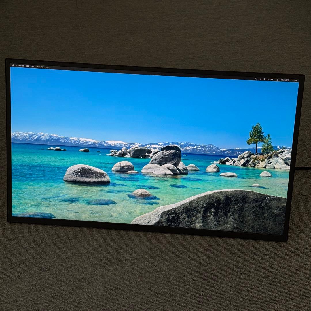 Newsoul 22インチ モバイルモニター