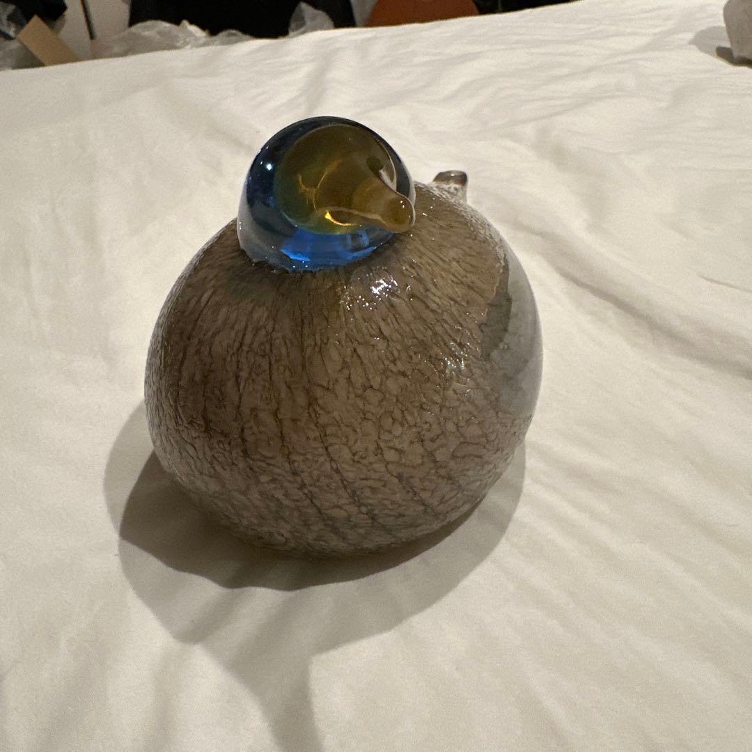 イッタラ オイバトイッカ / Dotterel バード