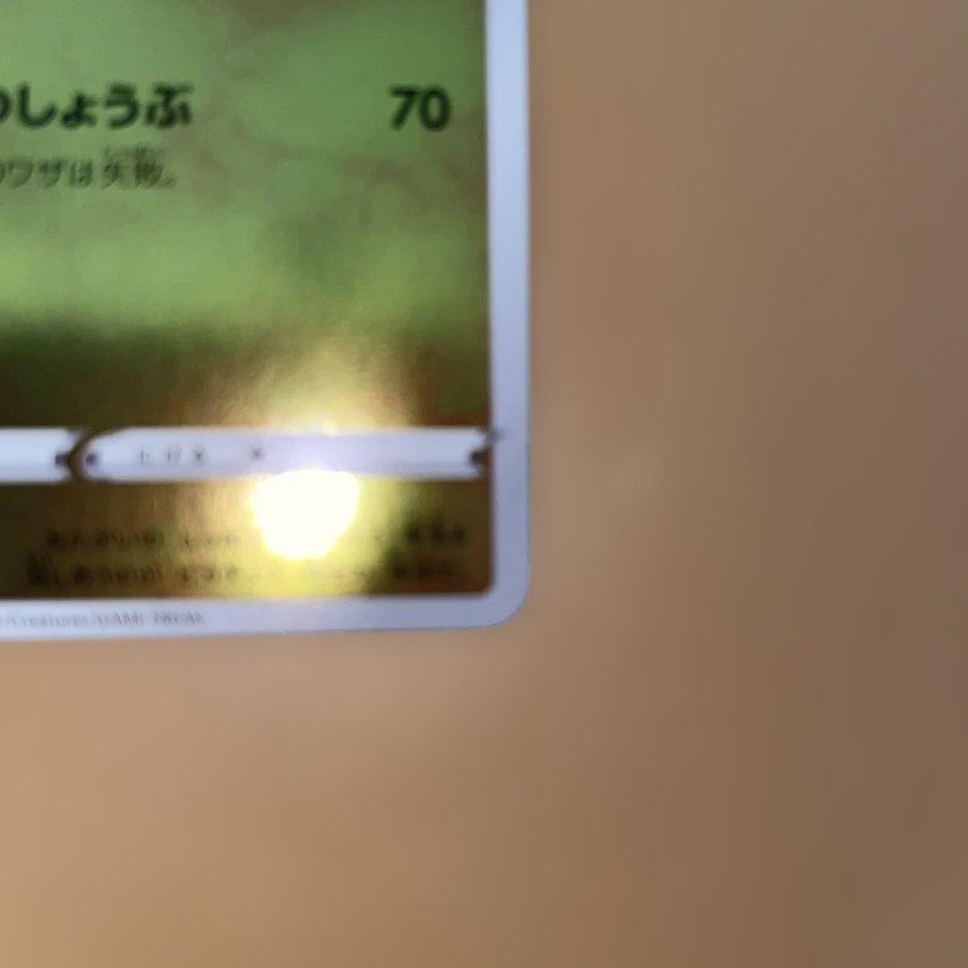 み*す様 トウホクのピカチュウ 260/SV-P ナガバピカチュウ