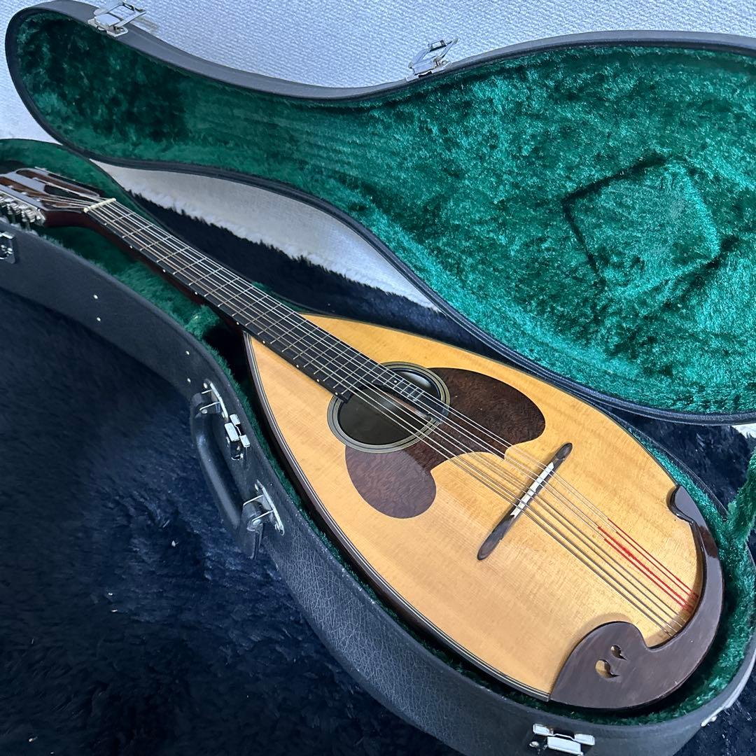 レア 高級 SUZUKI MD-6 マンドラ 弦楽器 リブ彫り ハードケース付き