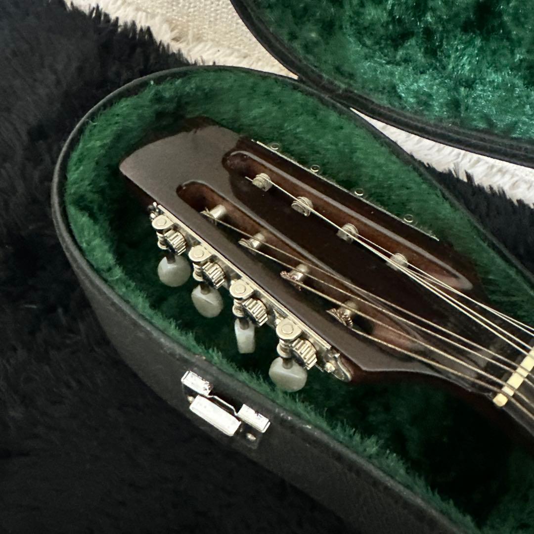 レア 高級 SUZUKI MD-6 マンドラ 弦楽器 リブ彫り ハードケース付き