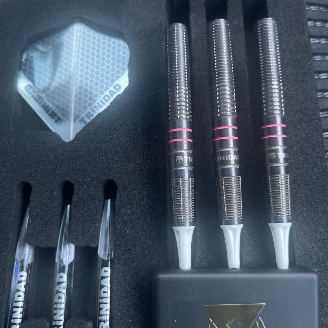 TRiNiDAD HUGO Hugo Leung Model ヒューゴ　バレル