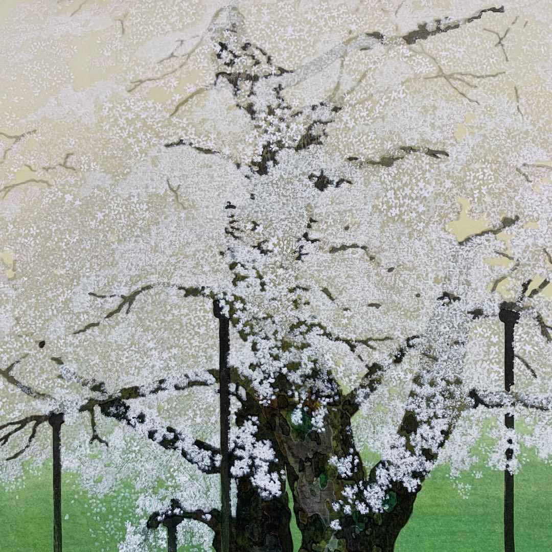 美品 掛け軸 佐野せいじ筆「荘川桜」木版 直筆サイン入り