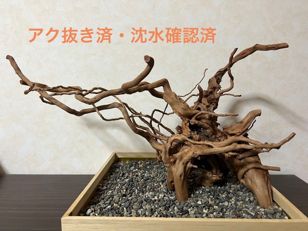 11206 ブランチウッド　流木　アクアリウム　沈水確認済