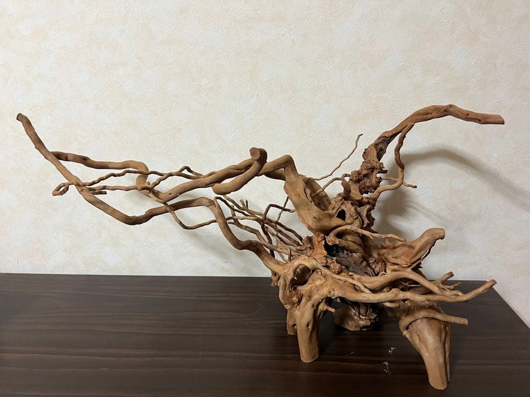 11206 ブランチウッド　流木　アクアリウム　沈水確認済